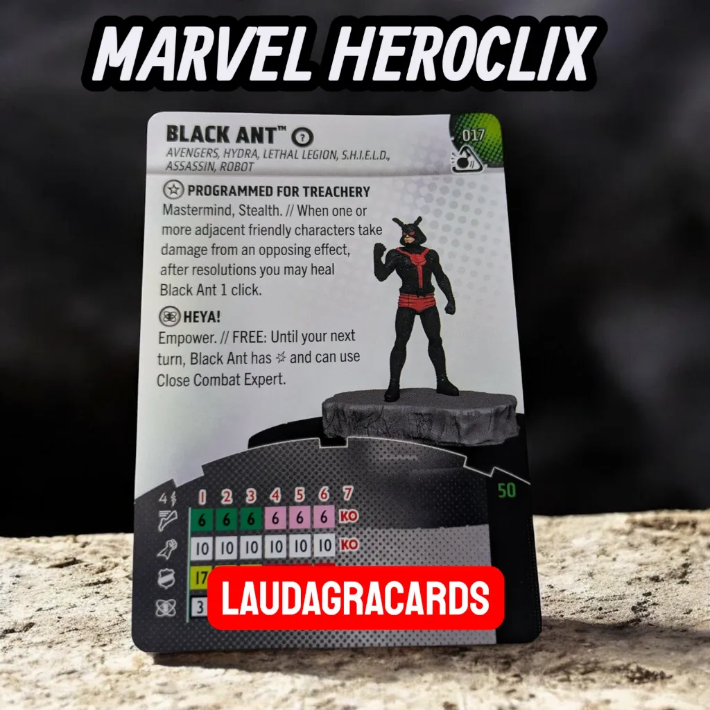 017 V BLACK ANT.webp