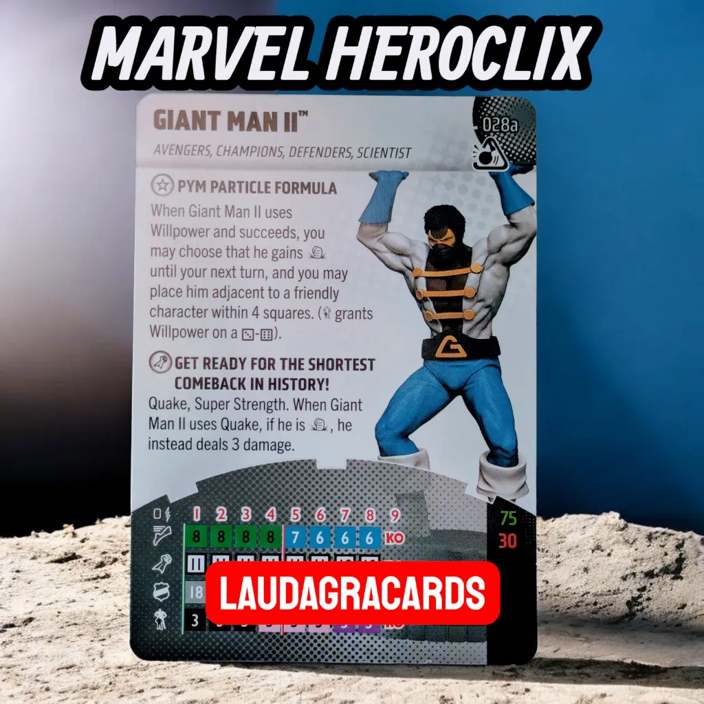 028a V GIANT LAN II.webp