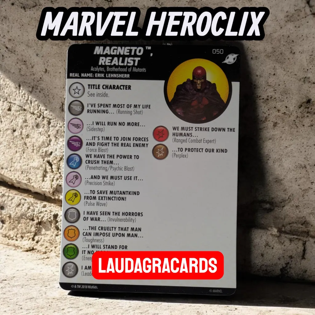 050 V MAGNETO REALIST.webp