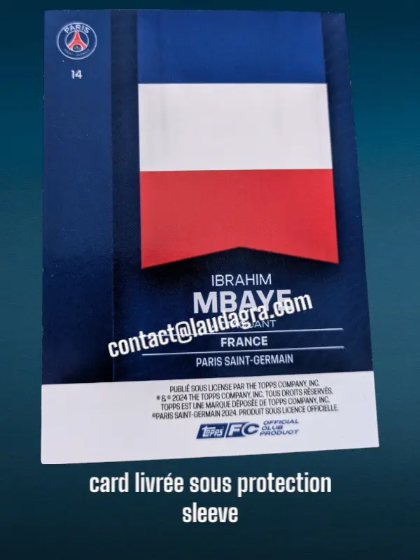 fansetverso_ (14).webp