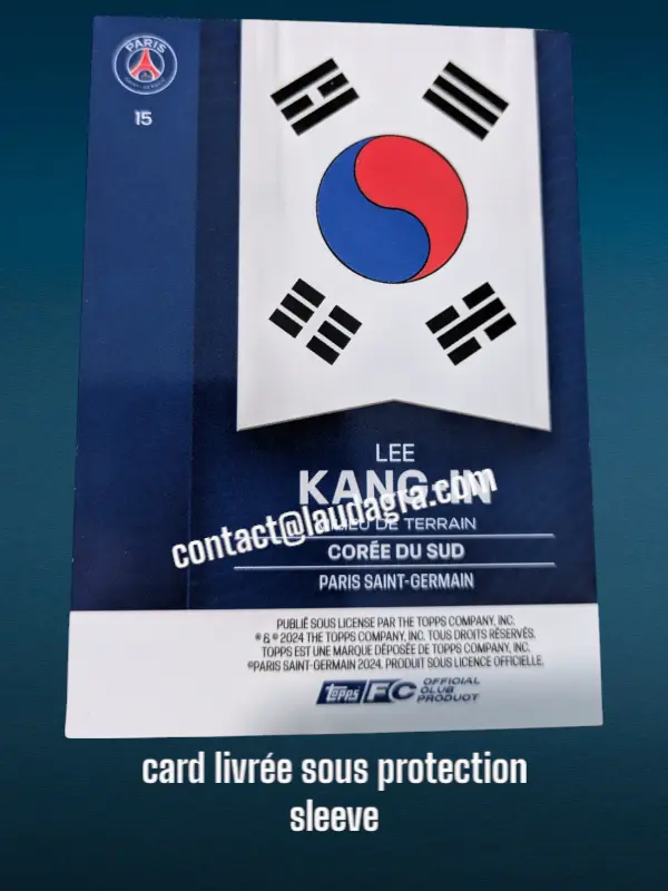 fansetverso_ (15).webp