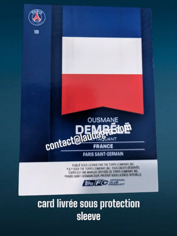 fansetverso_ (18).webp