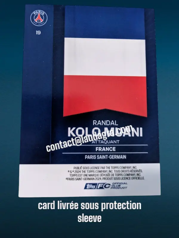 fansetverso_ (19).webp