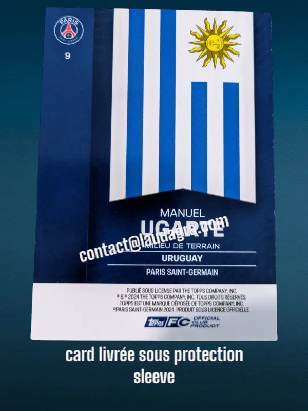 fansetverso_ (9).webp