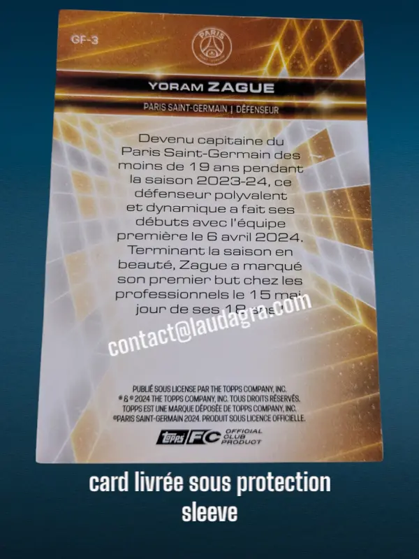 fansetverso_ (38).webp
