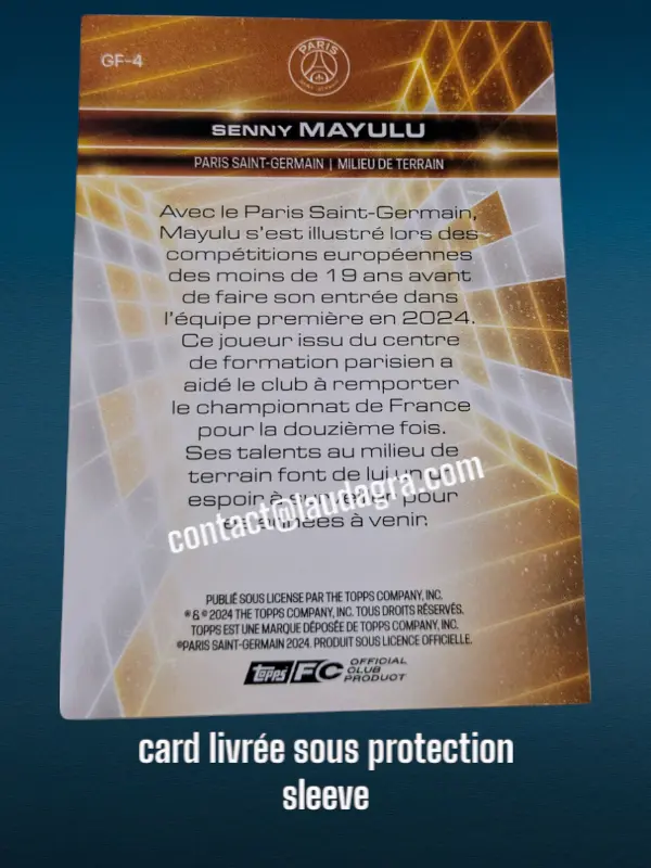 fansetverso_ (39).webp