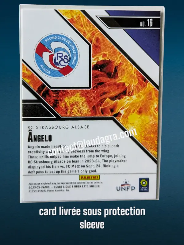 hotrookies24-01 (17).webp