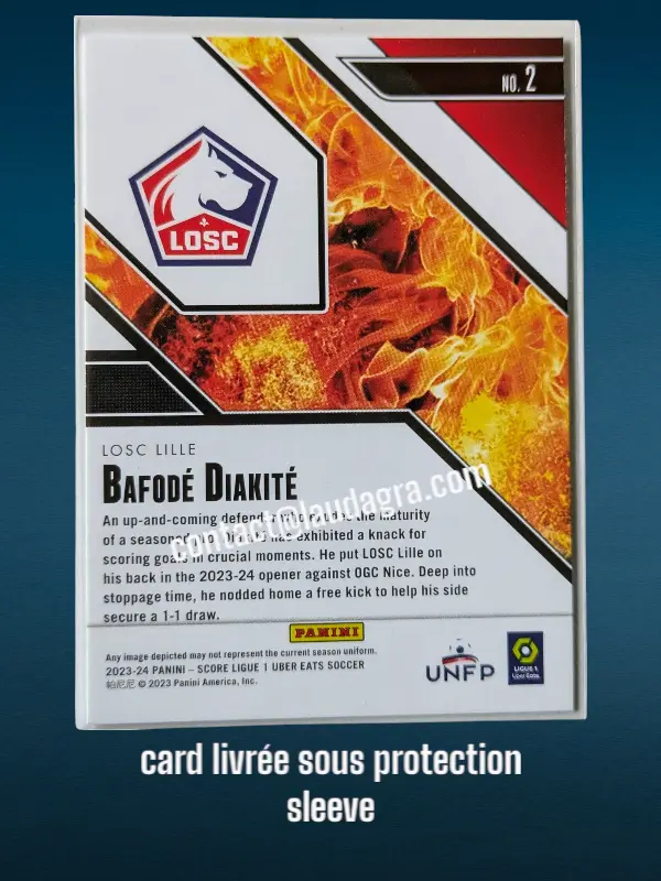 hotrookies24-01 (2).webp