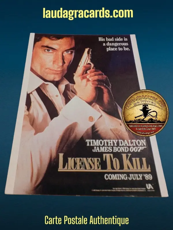 LICENCE TO KILL
