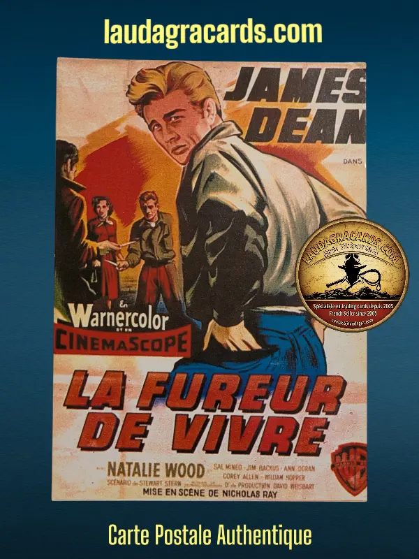 LA FUREUR DE VIVRE