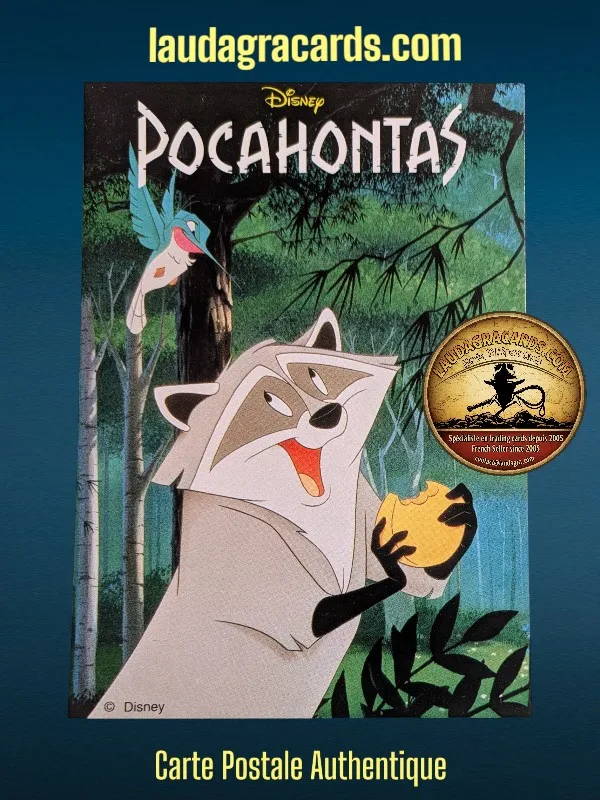 [C 581] POCAHONTAS (VISUEL MEEKO)
