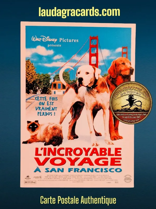 [C 693] L'INCROYABLE VOYAGE II