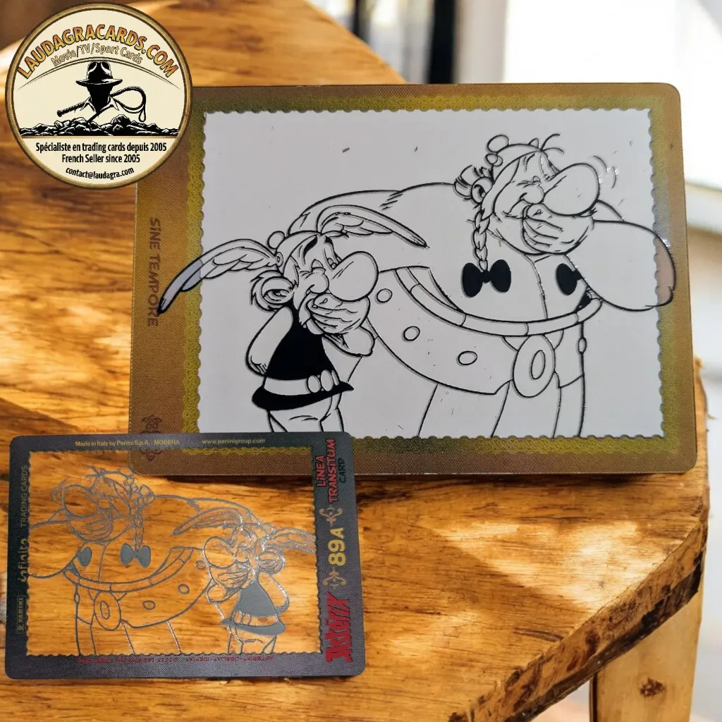 [PANAST096] 89A. Astérix et Obélix