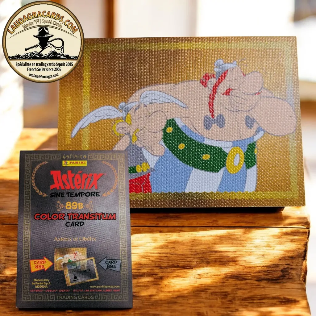 [PANAST097] 89B. Astérix et Obélix