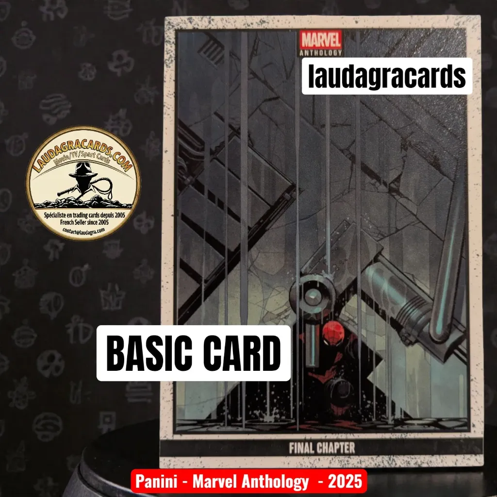 [ANTHSINGLE 006] 006  Final Chapter  - Panini Marvel Anthology