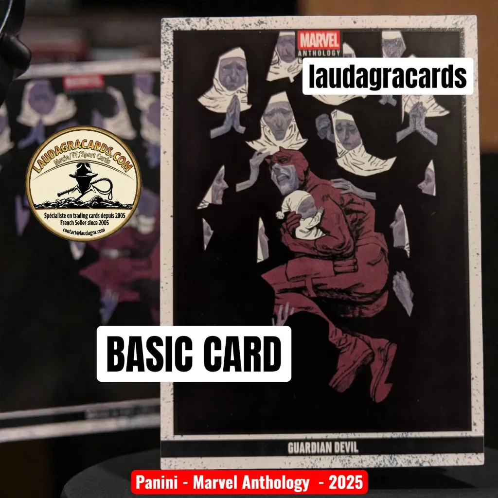 [ANTHSINGLE 049] 049  Guardian Devil  - Panini Marvel Anthology