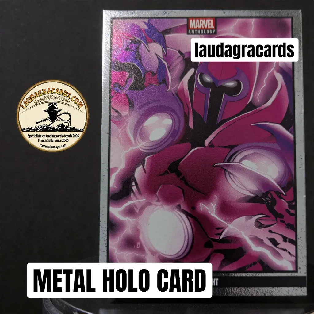 [ANTHMETAL 044] 044  Onslaught  - Metal Holo card