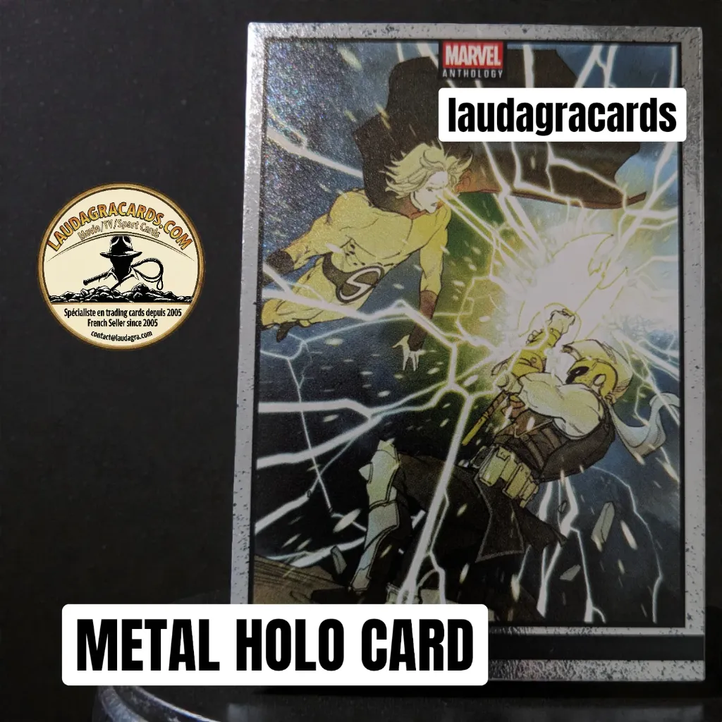 [ANTHMETAL 074] 074  Siege  - Metal Holo card