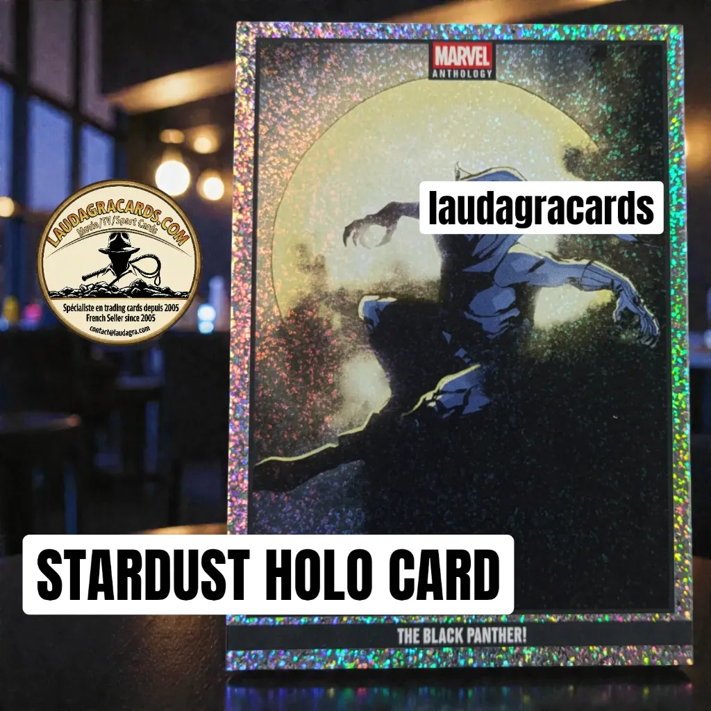 [ANTHSTAR 008] 008  The Black Panther!  - Stardust Holo Card