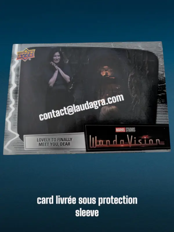 [WANDAVIS_65] Lovely to Finally Meet You, Dear Wandavision Card N° 65