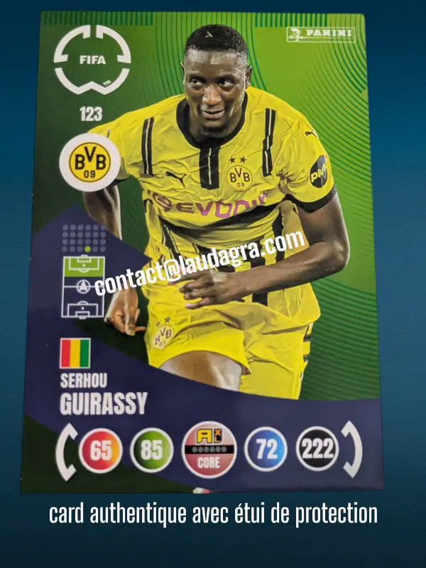 123- Serhou Guirassy  Borussia Dortmund