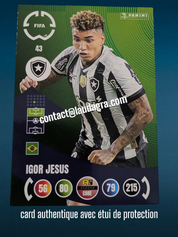 [PANCLUBWC_43] 43- Igor Jesus  Botafogo