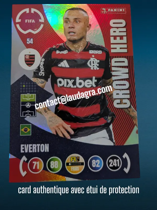 [PANCLUBWC_54] 54- Everton - Crowd Hero  CR Flamengo