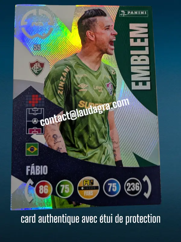 [PANCLUBWC_55] 55- Fábio - Emblem  Fluminense FC