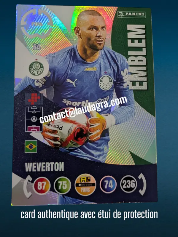 [PANCLUBWC_64] 64- Weverton  SE Palmeiras
