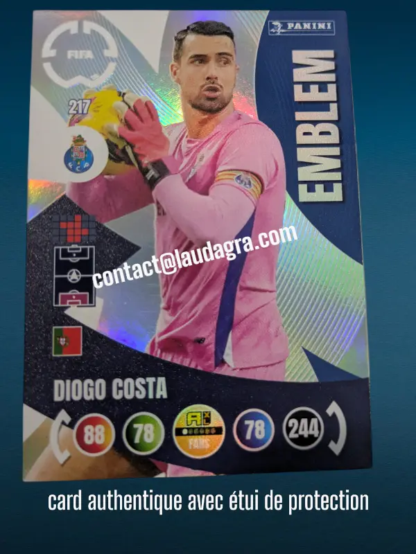 217- Diogo Costa - Emblem  Fc porto