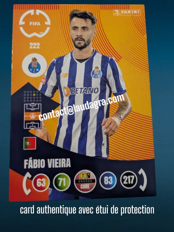 222- Fábio Vieira  FC porto