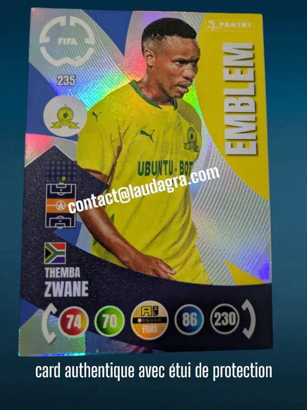 235- Themba Zwaine - Emblem  Mamelodi Sundowns