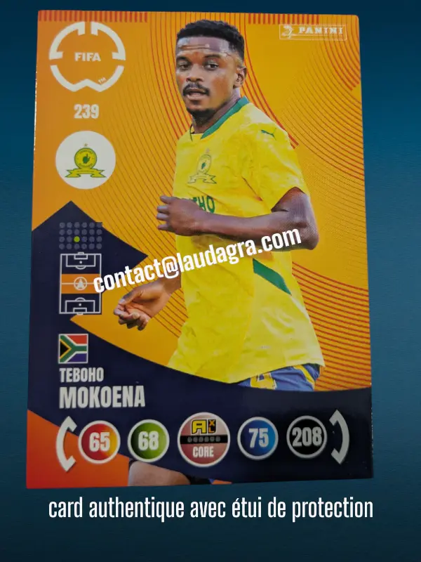 239- Teboho Mokoena  Mamelodi Sundowns