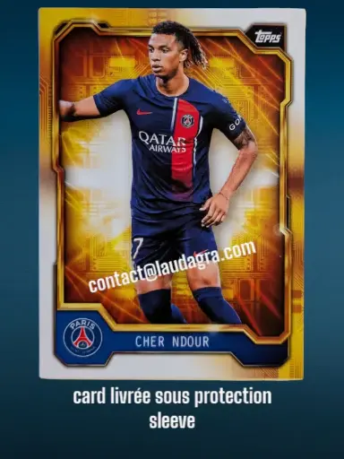 [psgfan2324_PSGG-1] Cher Ndour Card N° PSGG-1
