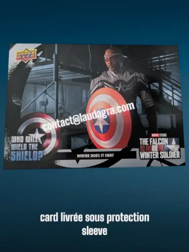 [FALCON_WWW-16] Where Does It End? The Falcon and The Winter Soldier Card N° WWW-16